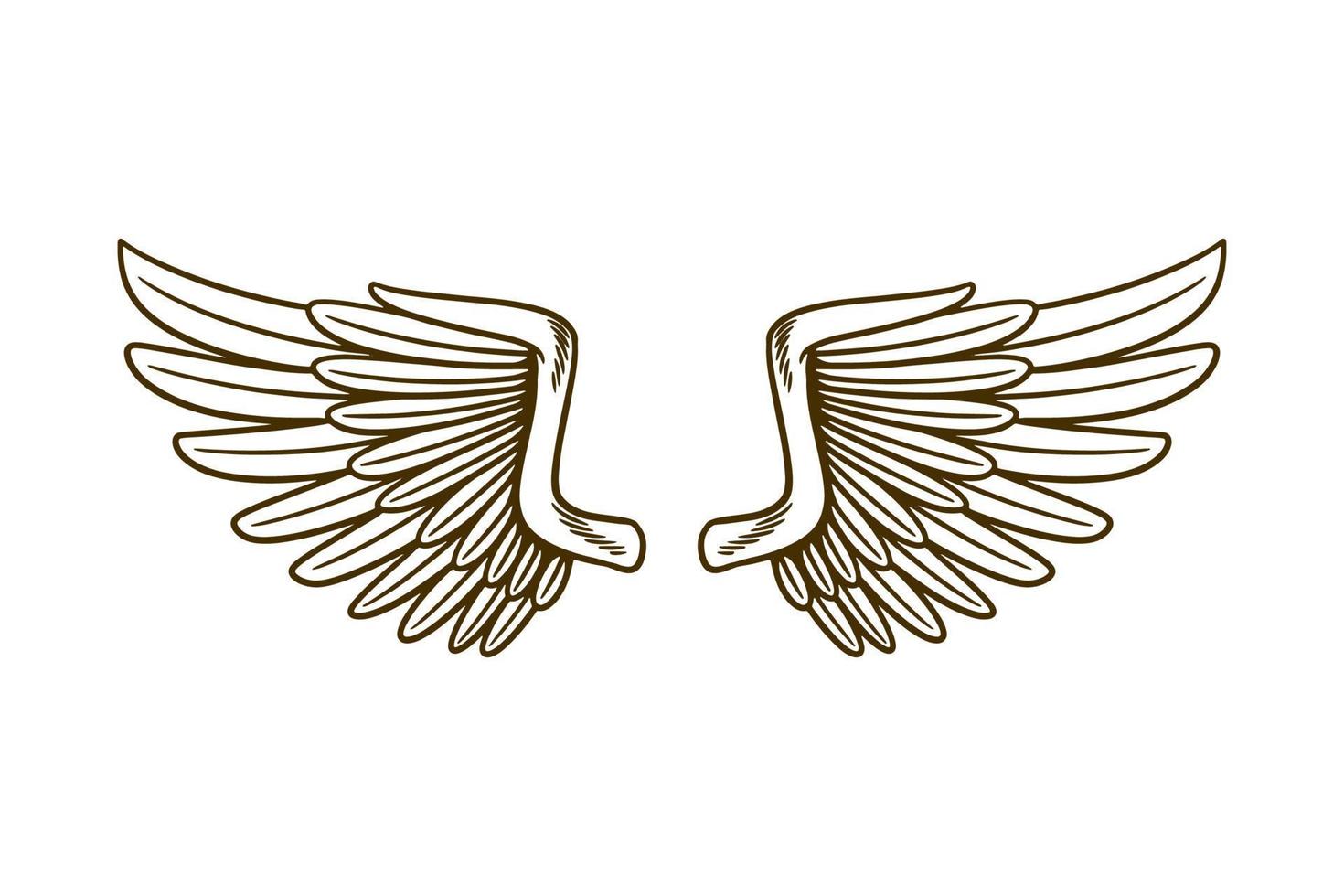 eagle wing vector illustration