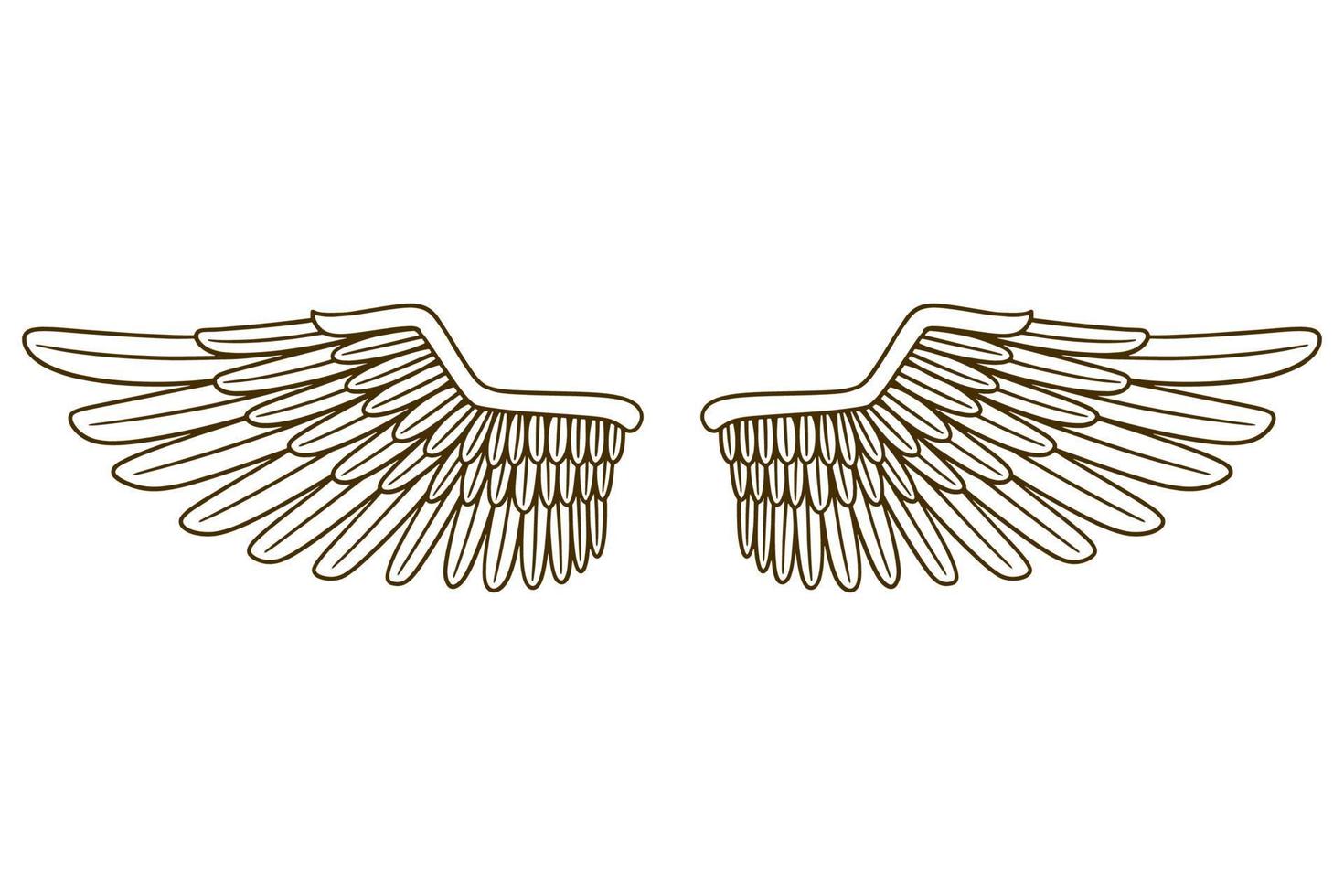 eagle wing vector illustration
