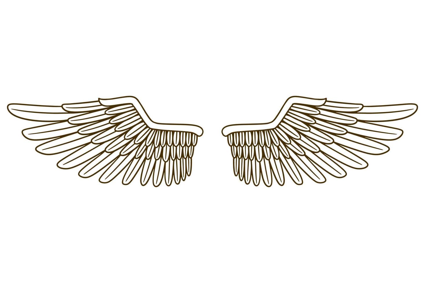 eagle wing vector illustration