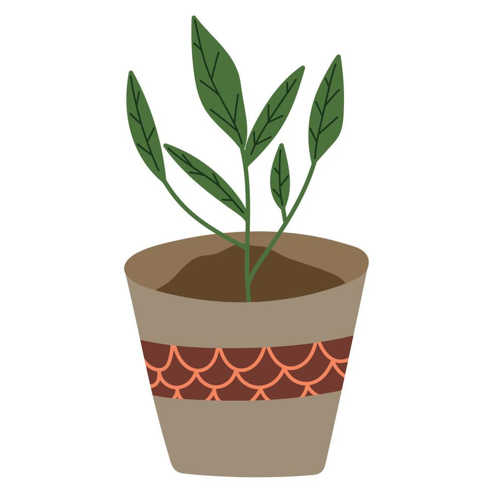 planta de jardineria en maceta vector