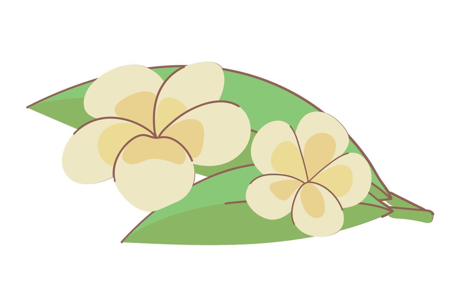 flowers and leaf vector