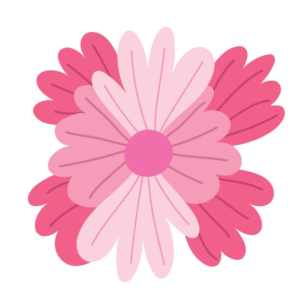 flowers petals decoration vector