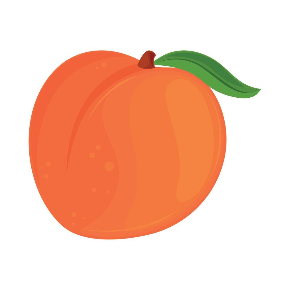 peach fruit icon vector