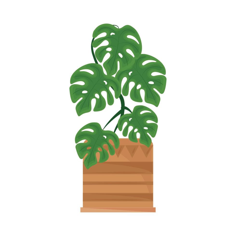 tropical houseplant icon vector