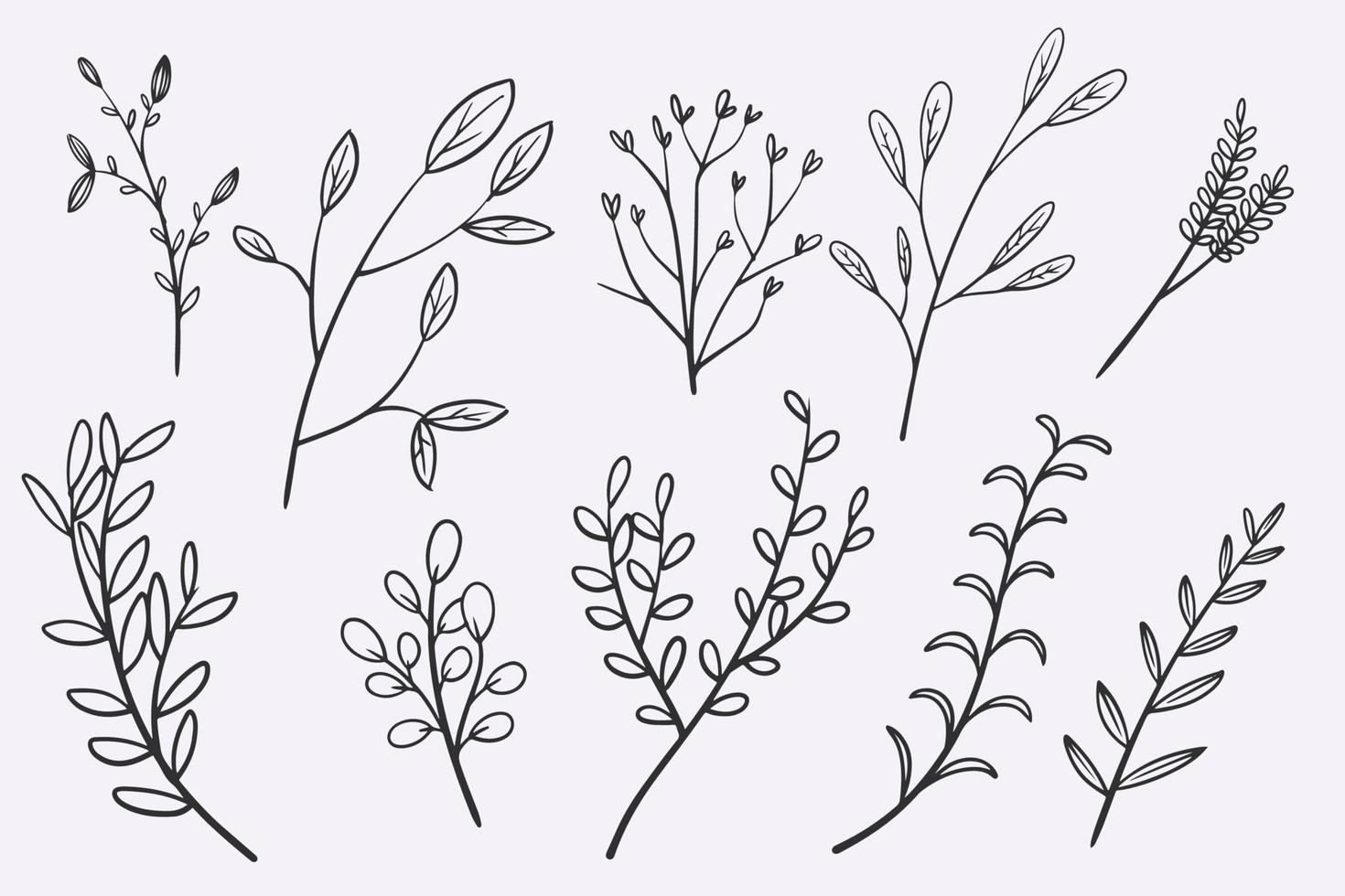 flower leaves doodle hand drawn vector illustration set