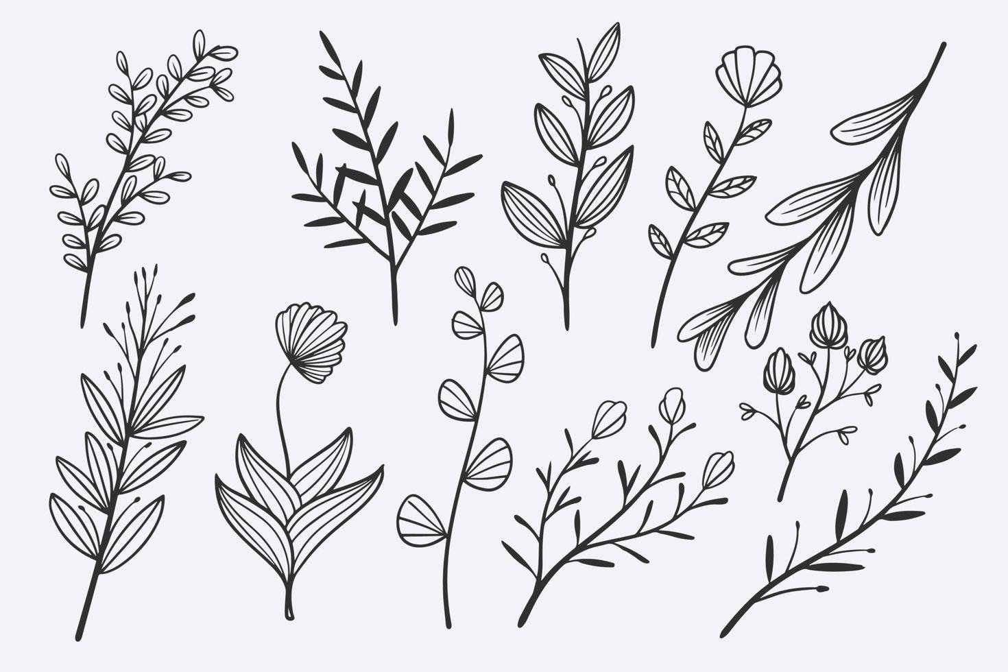 flower leaves doodle hand drawn vector illustration set