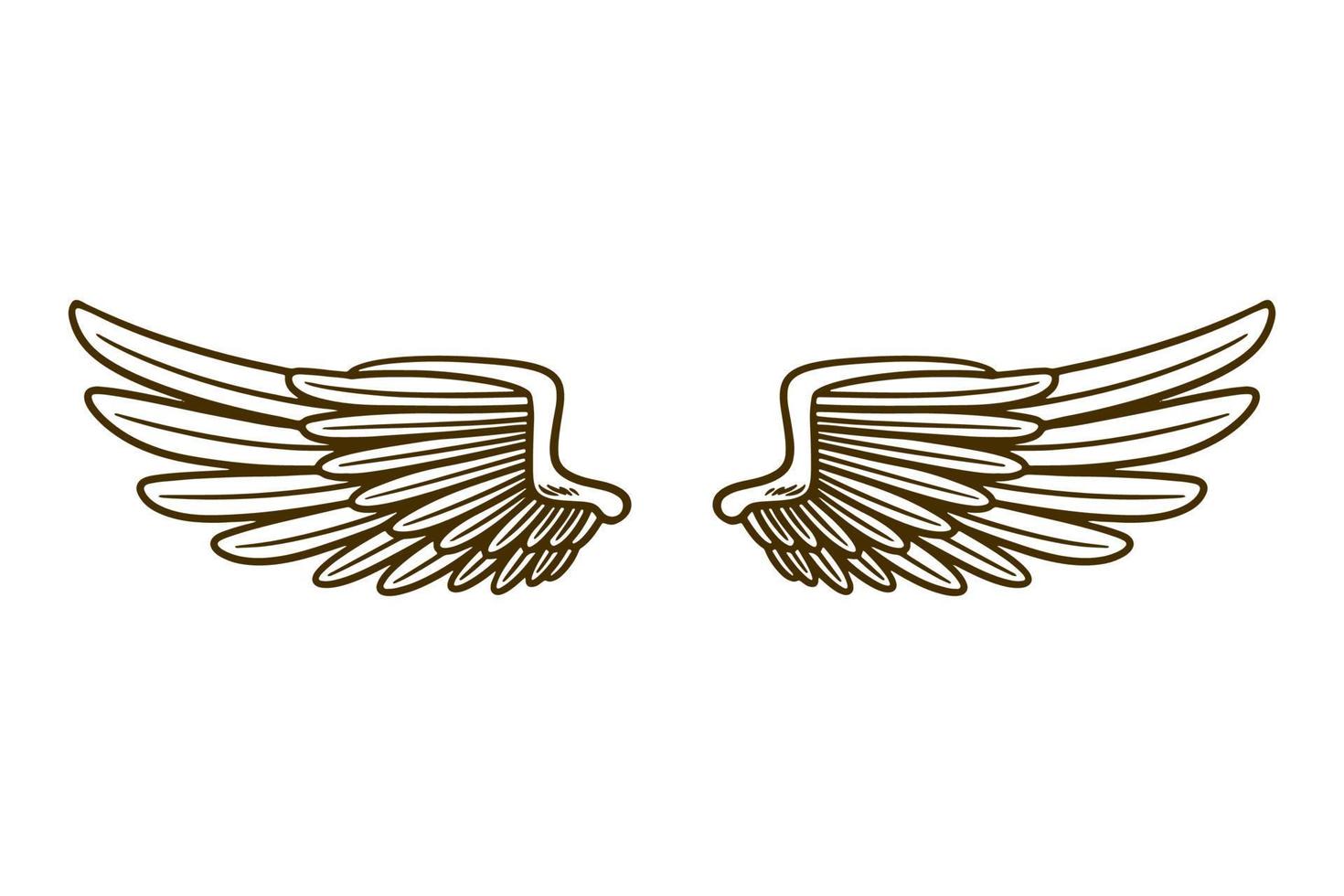 eagle wing vector illustration