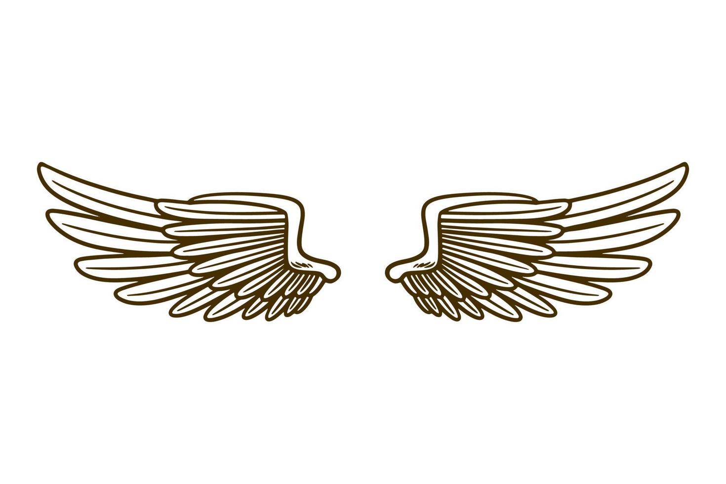 eagle wing vector illustration