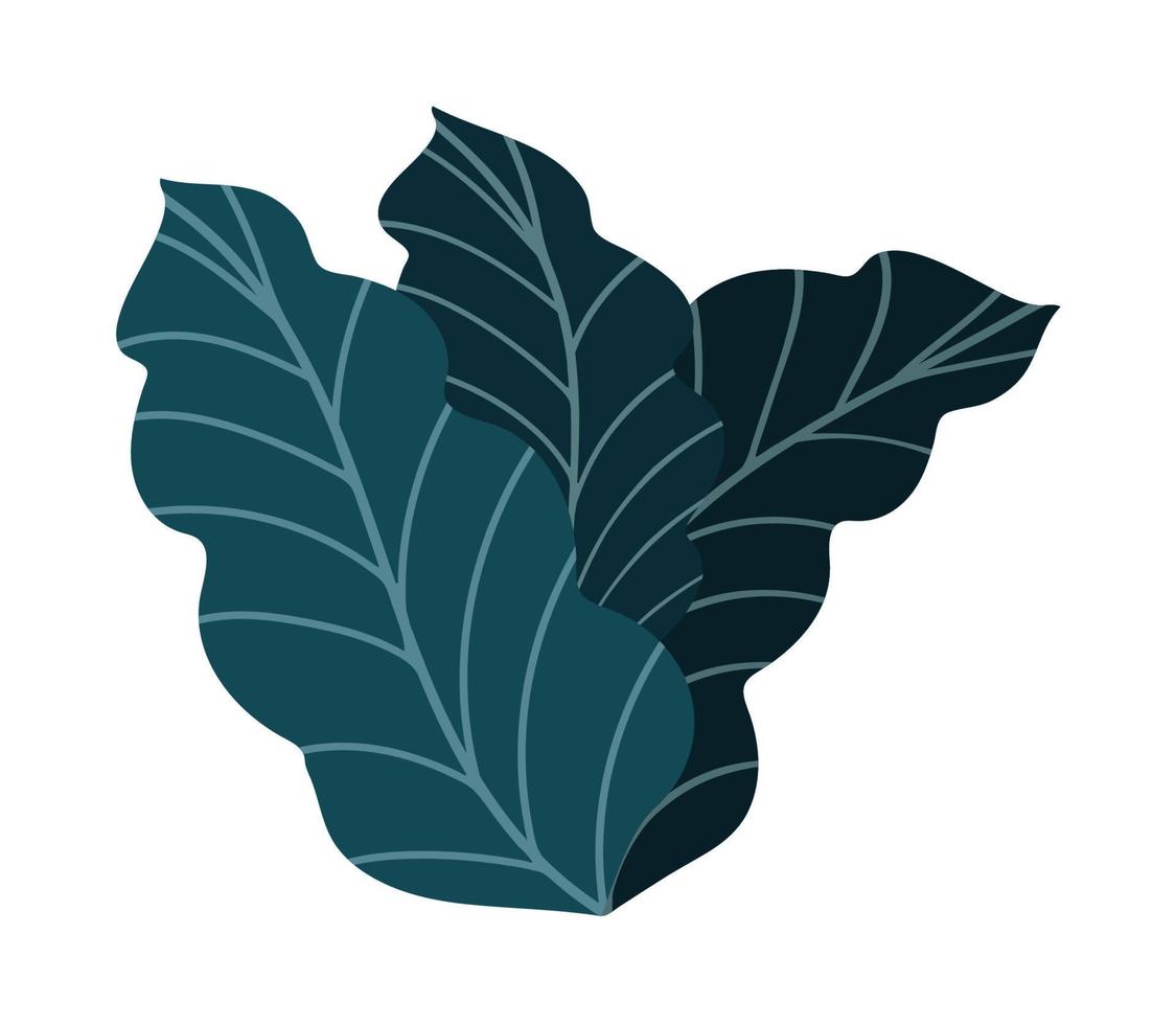 leaves nature icon vector