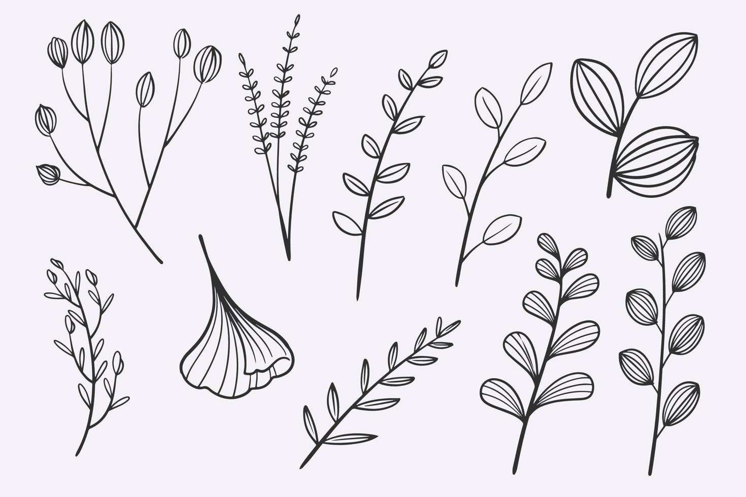 flower leaves doodle hand drawn vector illustration set