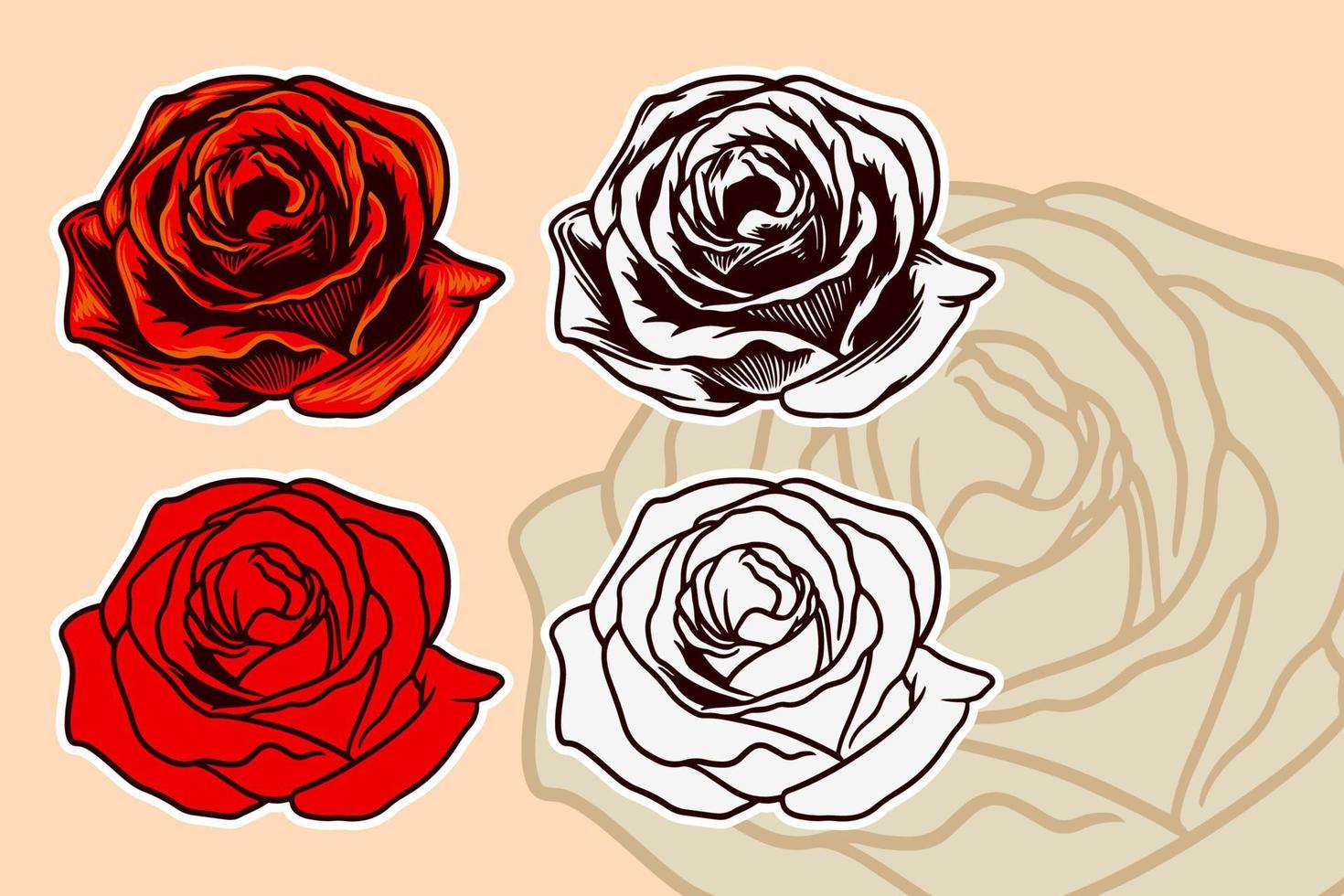 conjunto de ilustración de vector de flor rosa