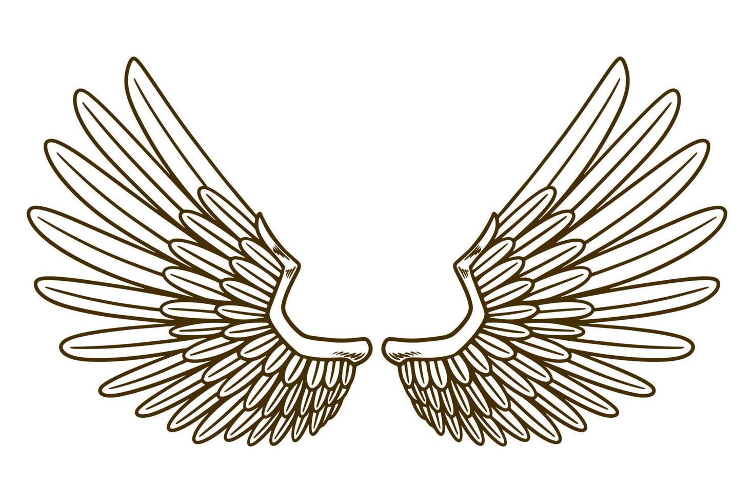 eagle wing vector illustration