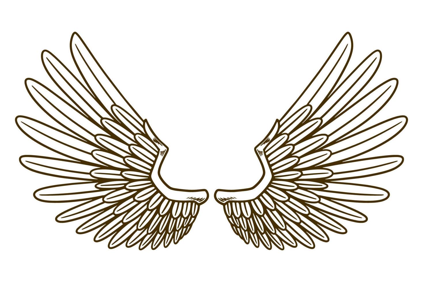eagle wing vector illustration