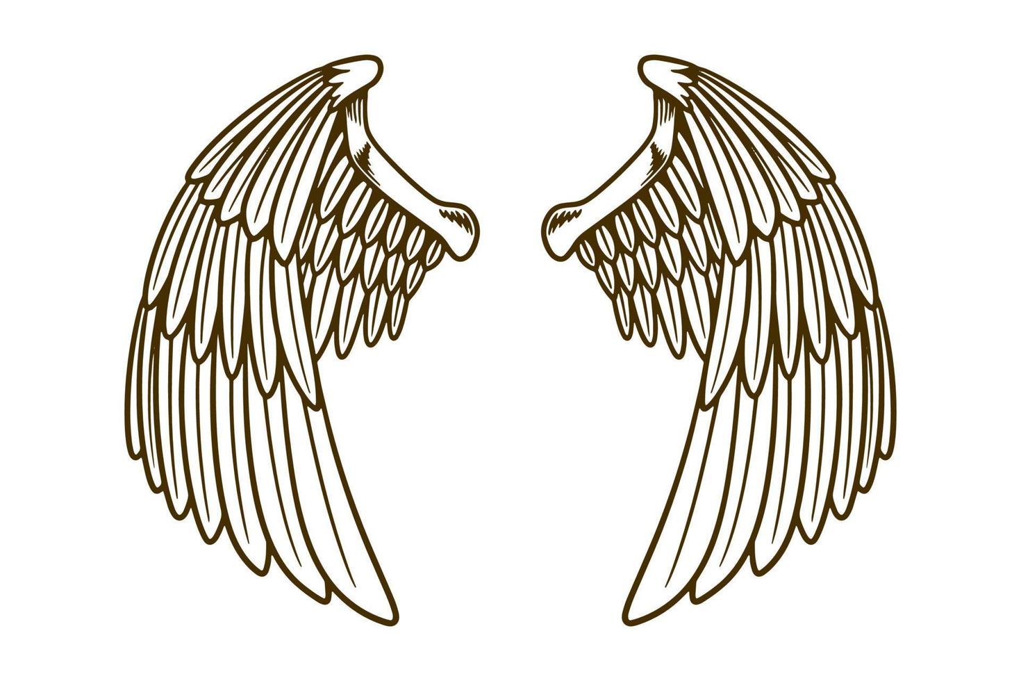 eagle wing vector illustration