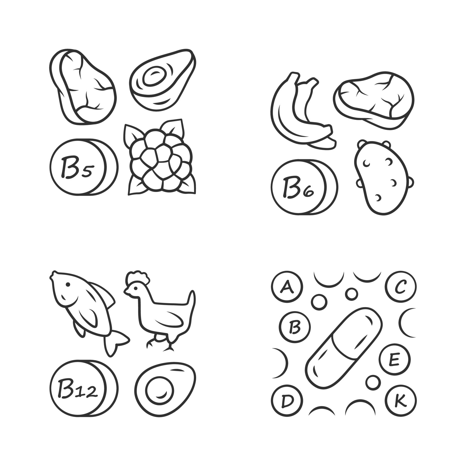 Vitamins linear icons set. B5, B6, B12 natural food source. Vitamin