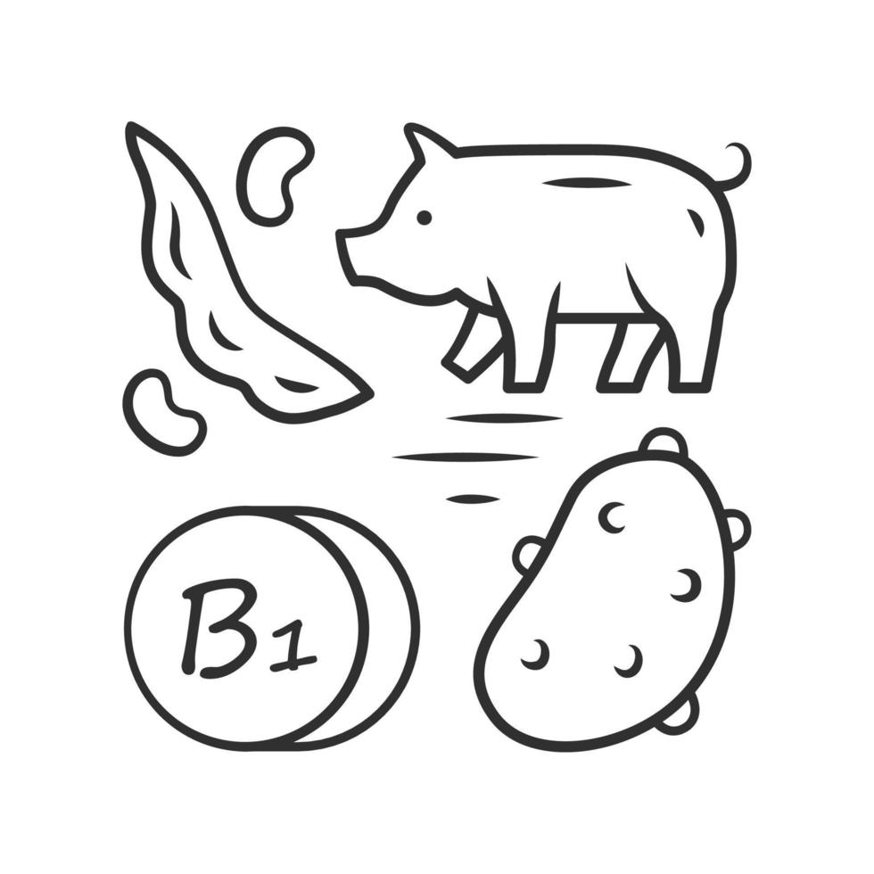 Vitamin B1 linear icon. Potato, pork and green bean. Healthy eating. Thiamin natural food source. Mineral, antioxidant. Thin line illustration. Contour symbol. Vector isolated drawing. Editable stroke
