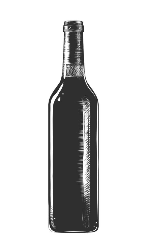 Vector engraved style illustration for posters, decoration and print. Hand drawn sketch of a bottle of wine, monochrome isolated on white background. Detailed vintage woodcut style