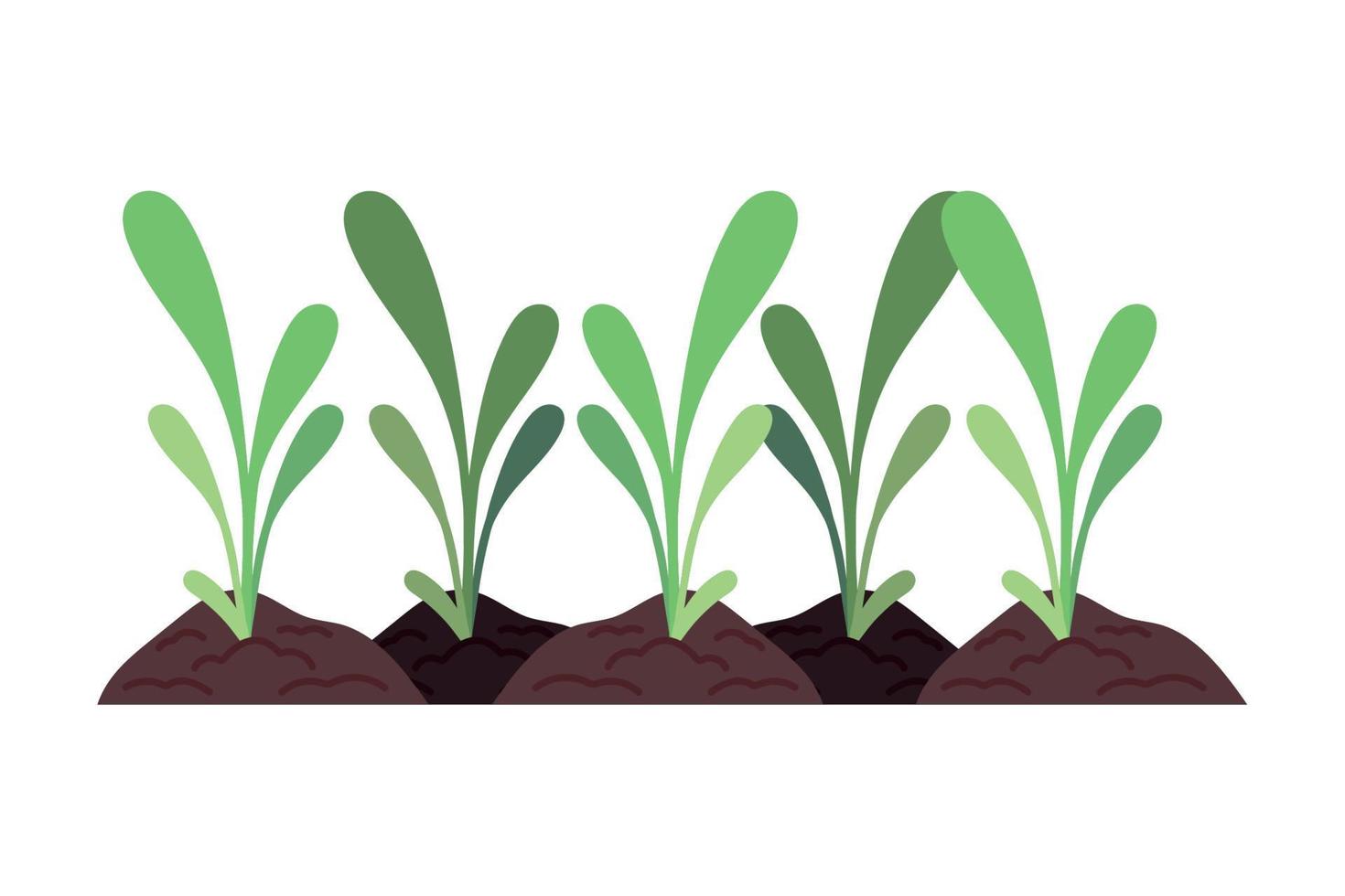 plantas agricolas en tierra vector