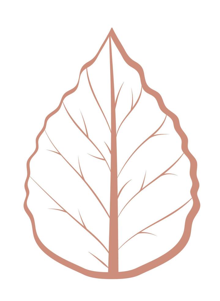 leaf nature icon vector