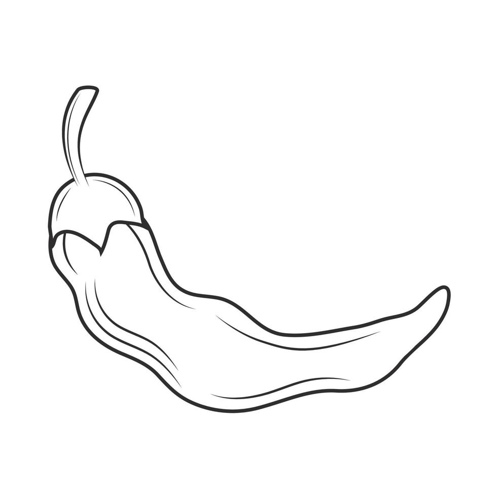chili pepper sketch icon vector