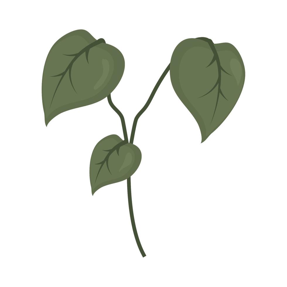 leaves foliage icon vector