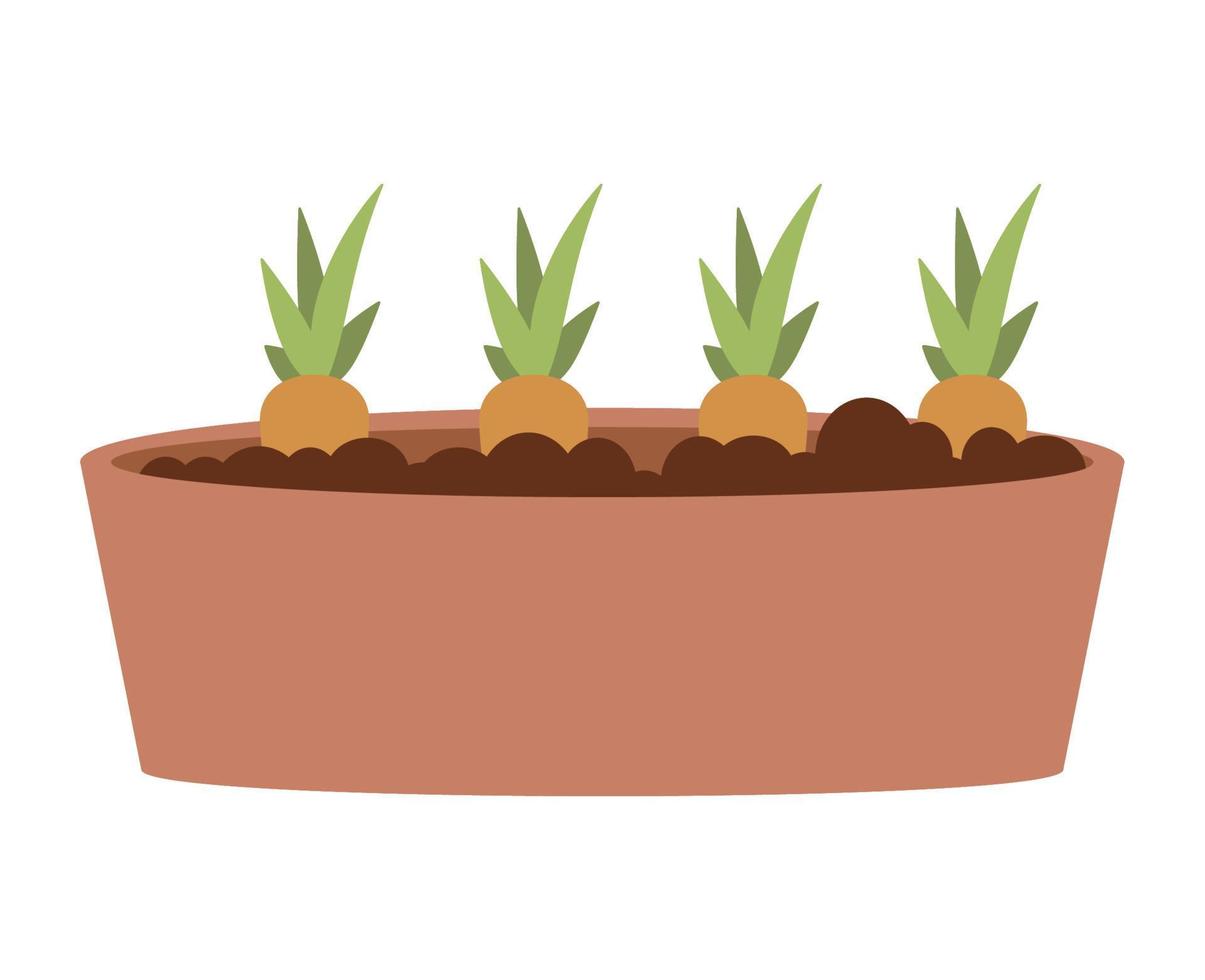 planta de zanahorias de jardín vector