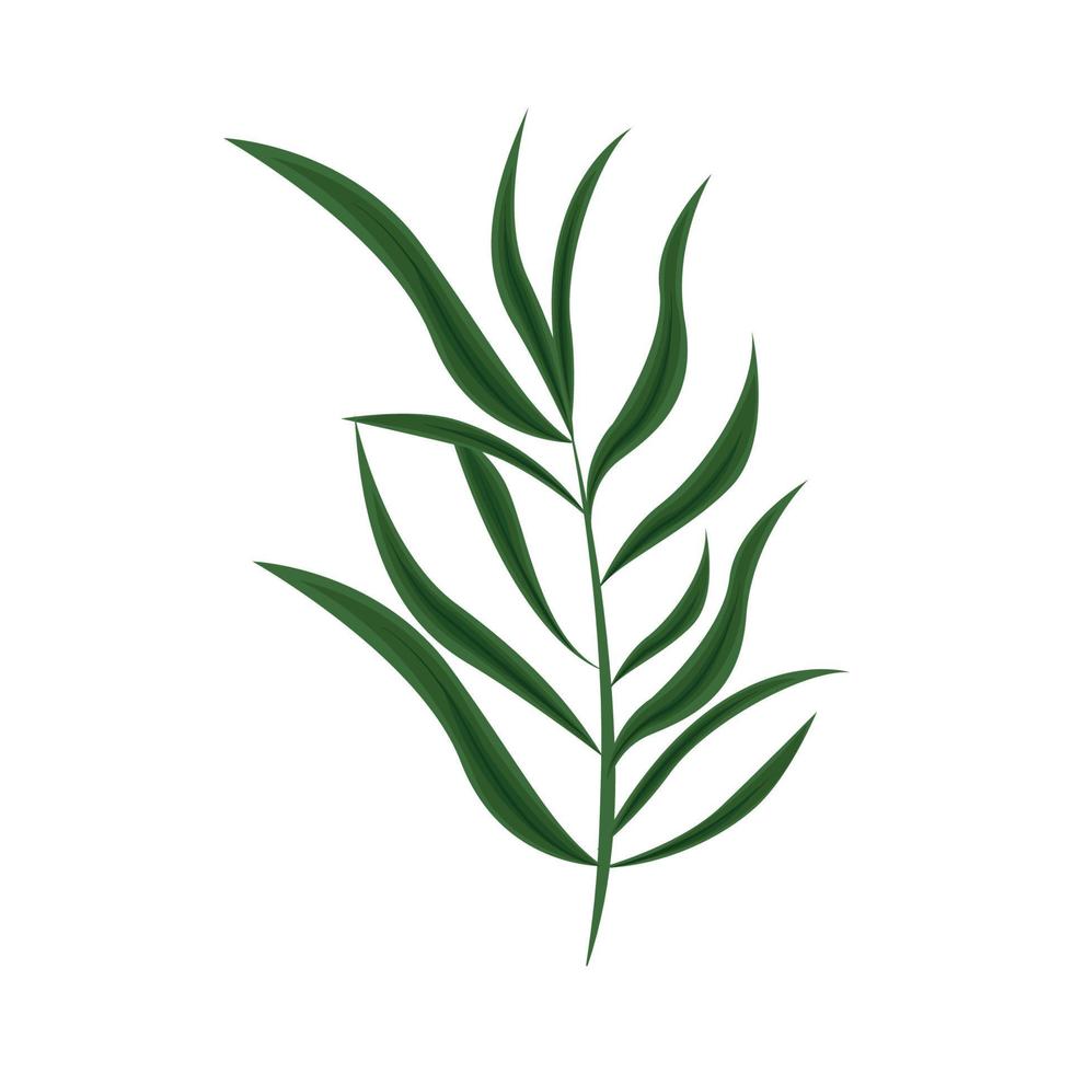 branch nature icon vector