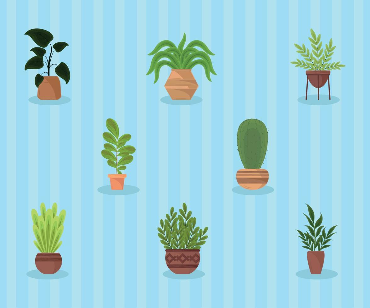 iconos plantas de interior decoración vector