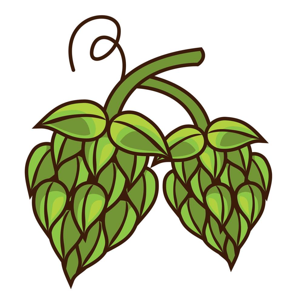 green hops seeds vector