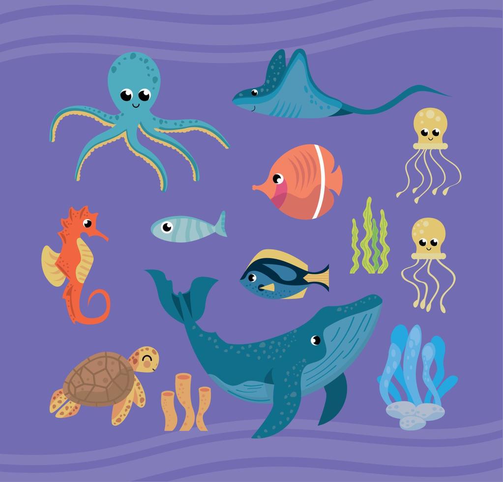 thirteen sealife animals vector