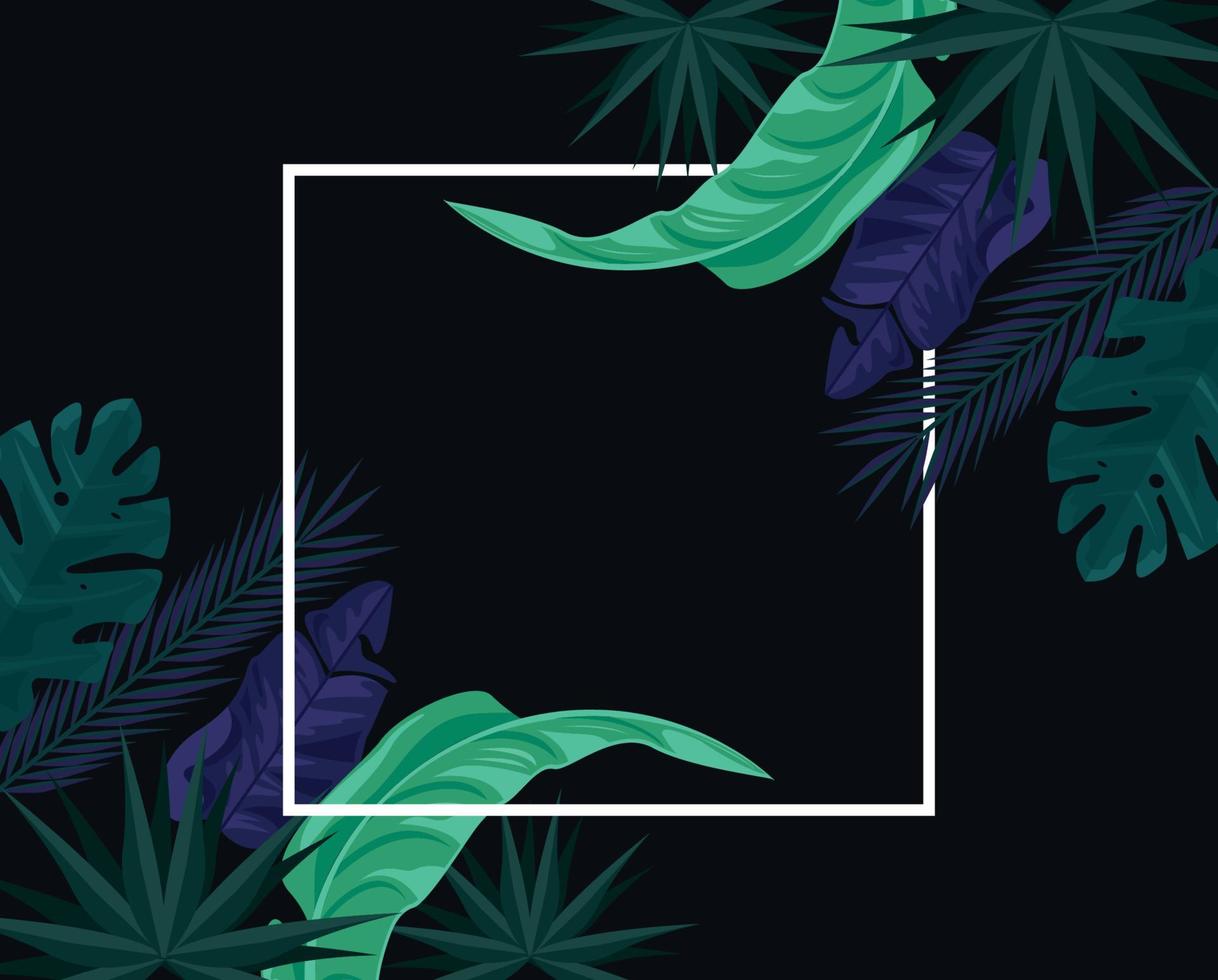 tropical leafs in frame vector