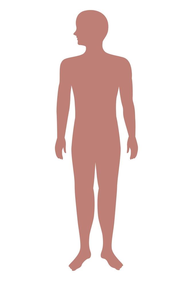 silueta cuerpo humano rosa vector