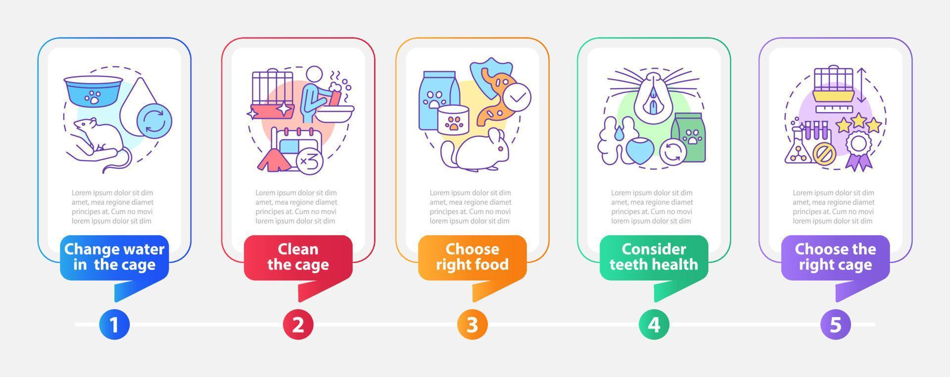 Mantener la plantilla de infografía de rectángulo saludable de animales pequeños. visualización de datos con 5 pasos. gráfico de información de la línea de tiempo del proceso. diseño de flujo de trabajo con iconos de línea. vector