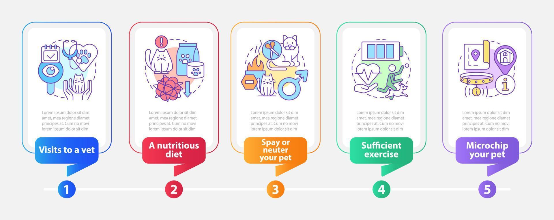 plantilla infográfica rectangular de propiedad responsable de mascotas. mascota esterilizada. visualización de datos con 5 pasos. gráfico de información de la línea de tiempo del proceso. diseño de flujo de trabajo con iconos de línea. vector