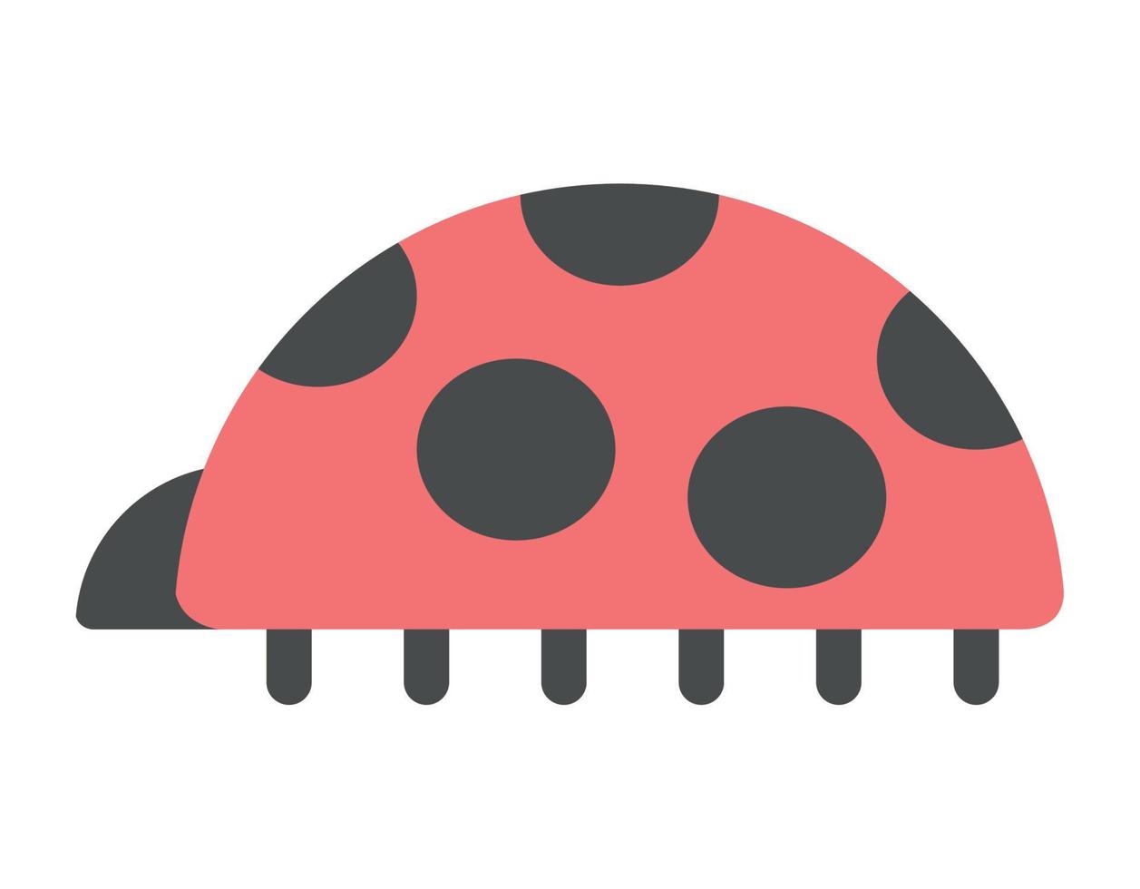 cute ladybug insect vector