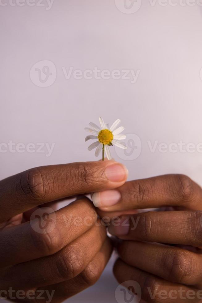 portrait of African American girl with a flower in her hand photo