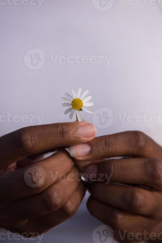 retrato de niña afroamericana con una flor en la mano foto