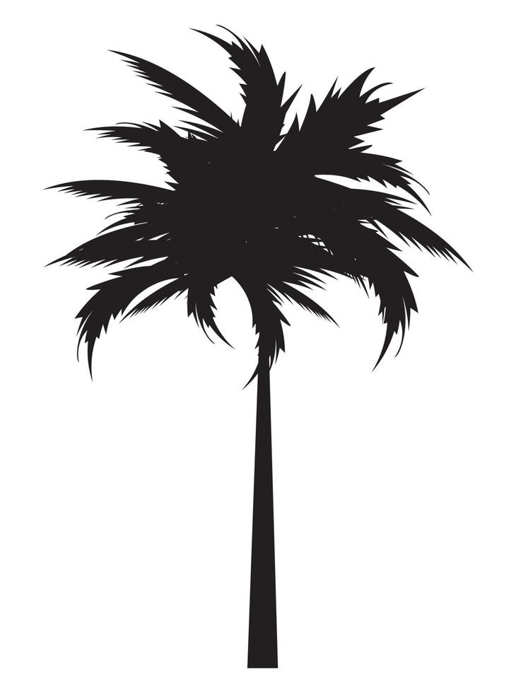 leafy tree palm silhouette vector