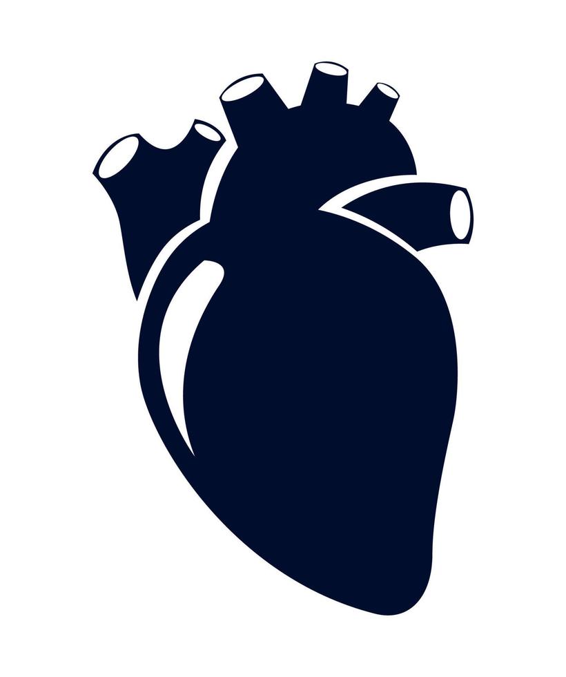 Human heart design vector