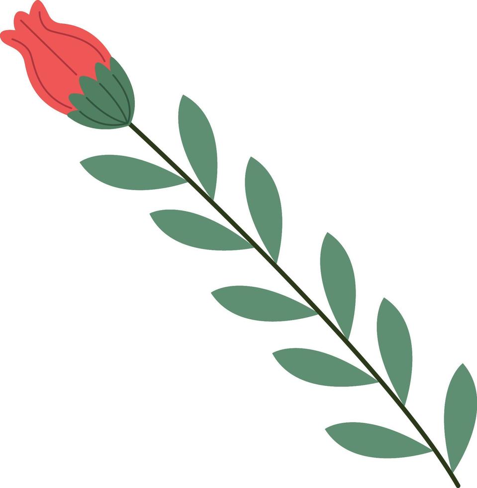 rose flower and leafs vector