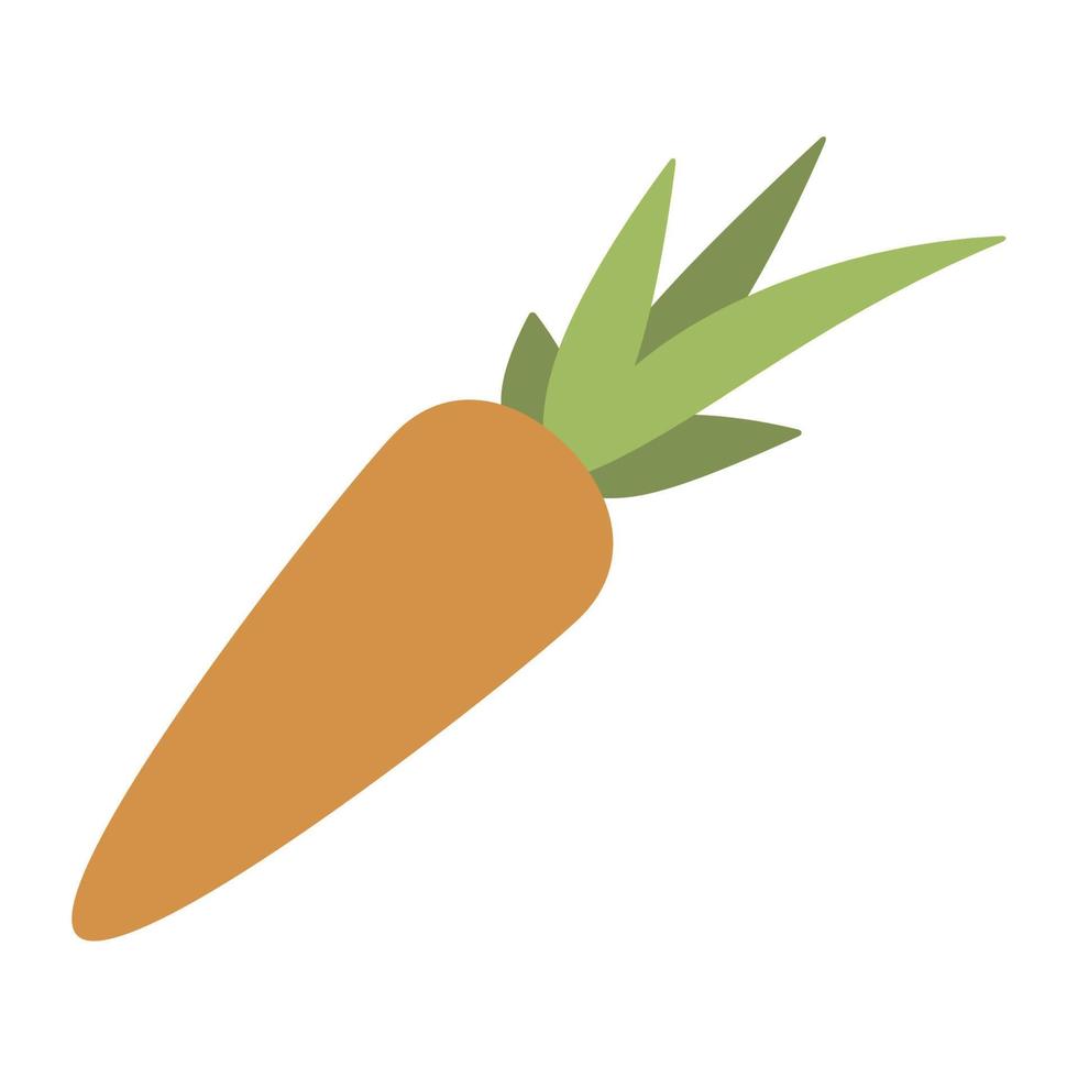 carrot fresh vegetable vector