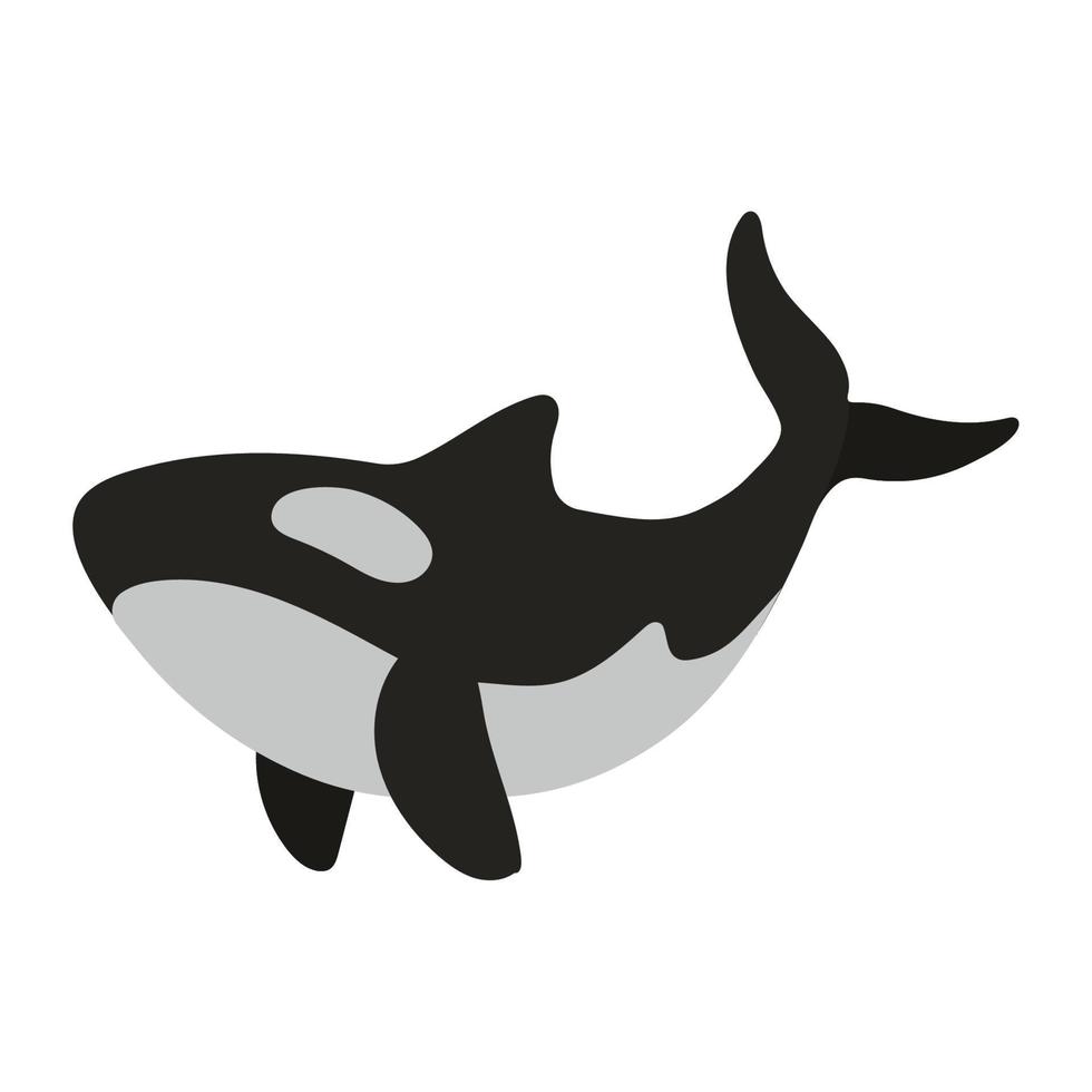 whale wild animal vector