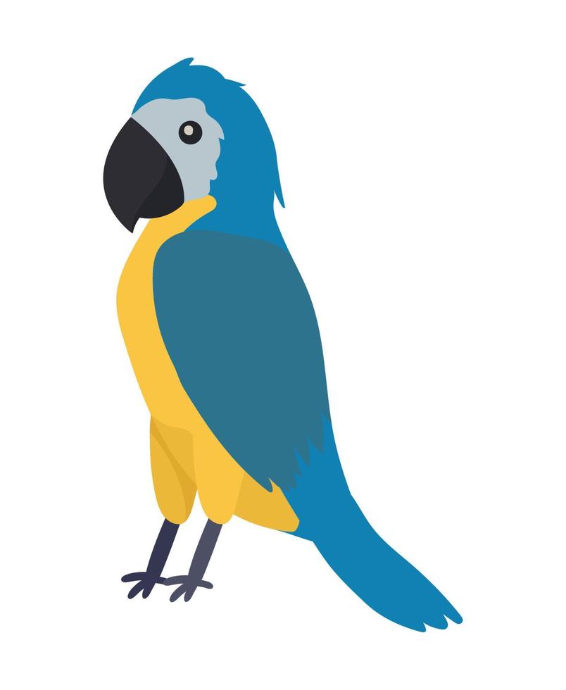 loro pájaro animal especia vector