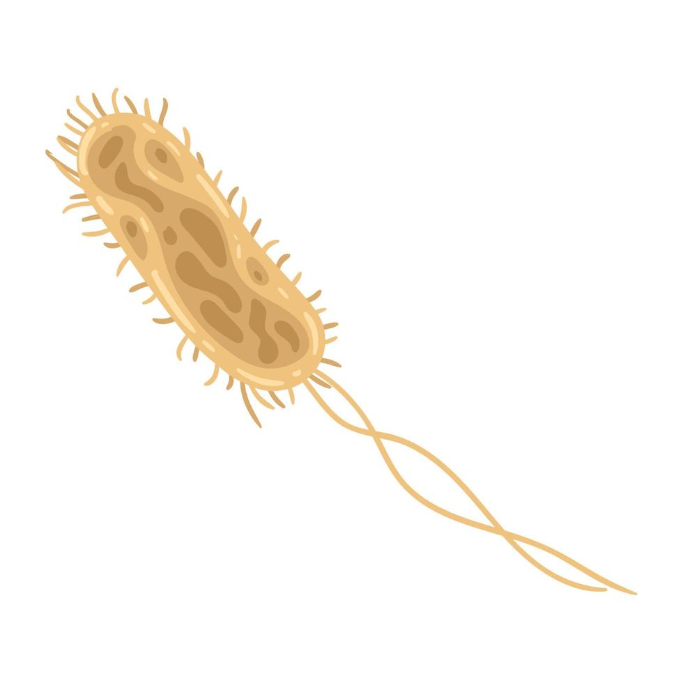 science lab bacterium vector