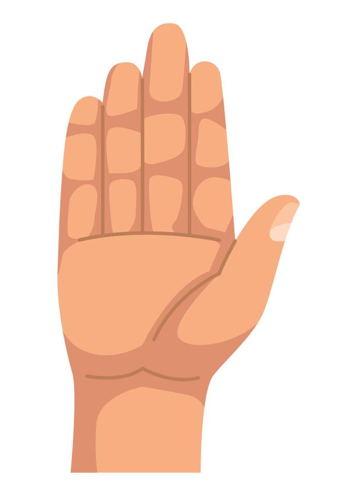 hand human stop vector