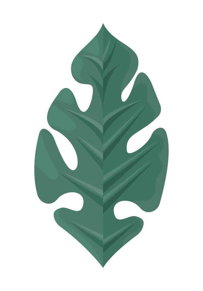 exotic leave foliage vector