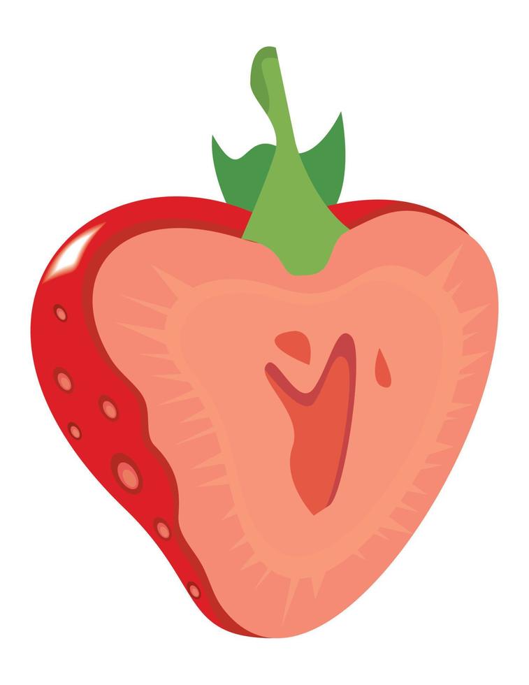 fresh strawberry fruit vector