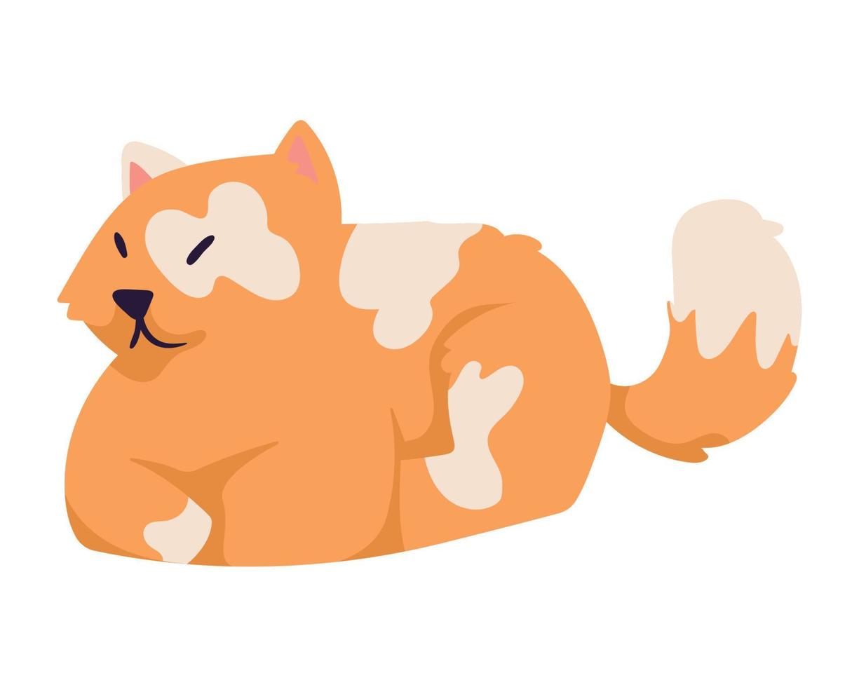 orange cute cat mascot vector