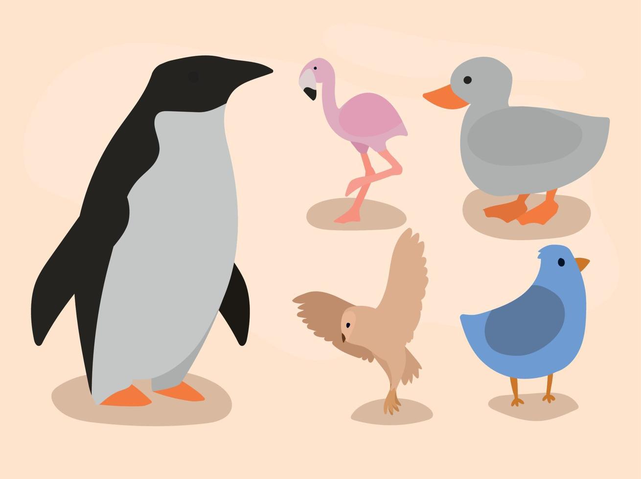 cinco pájaros animales iconos vector