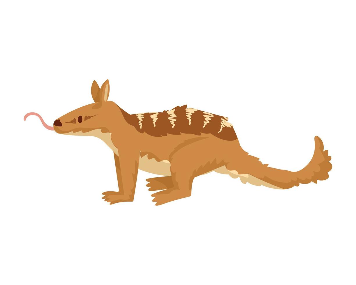 cute numbat animal kid vector